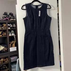 JCrew denim dress